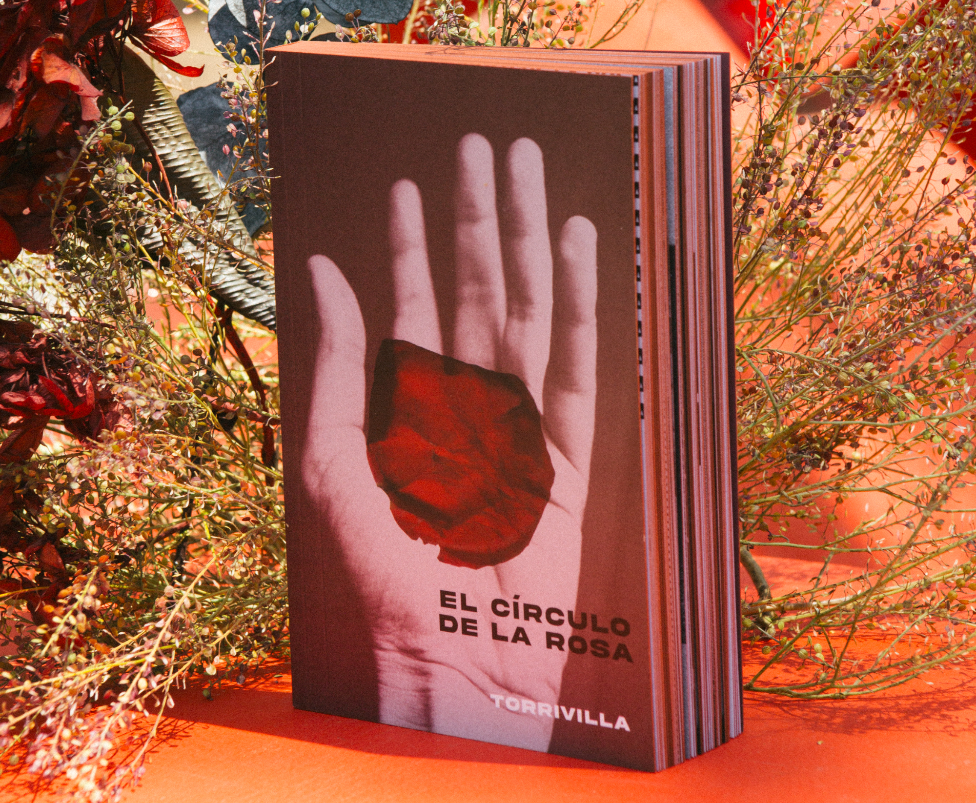 El círculo de la rosa — fotografía editorial