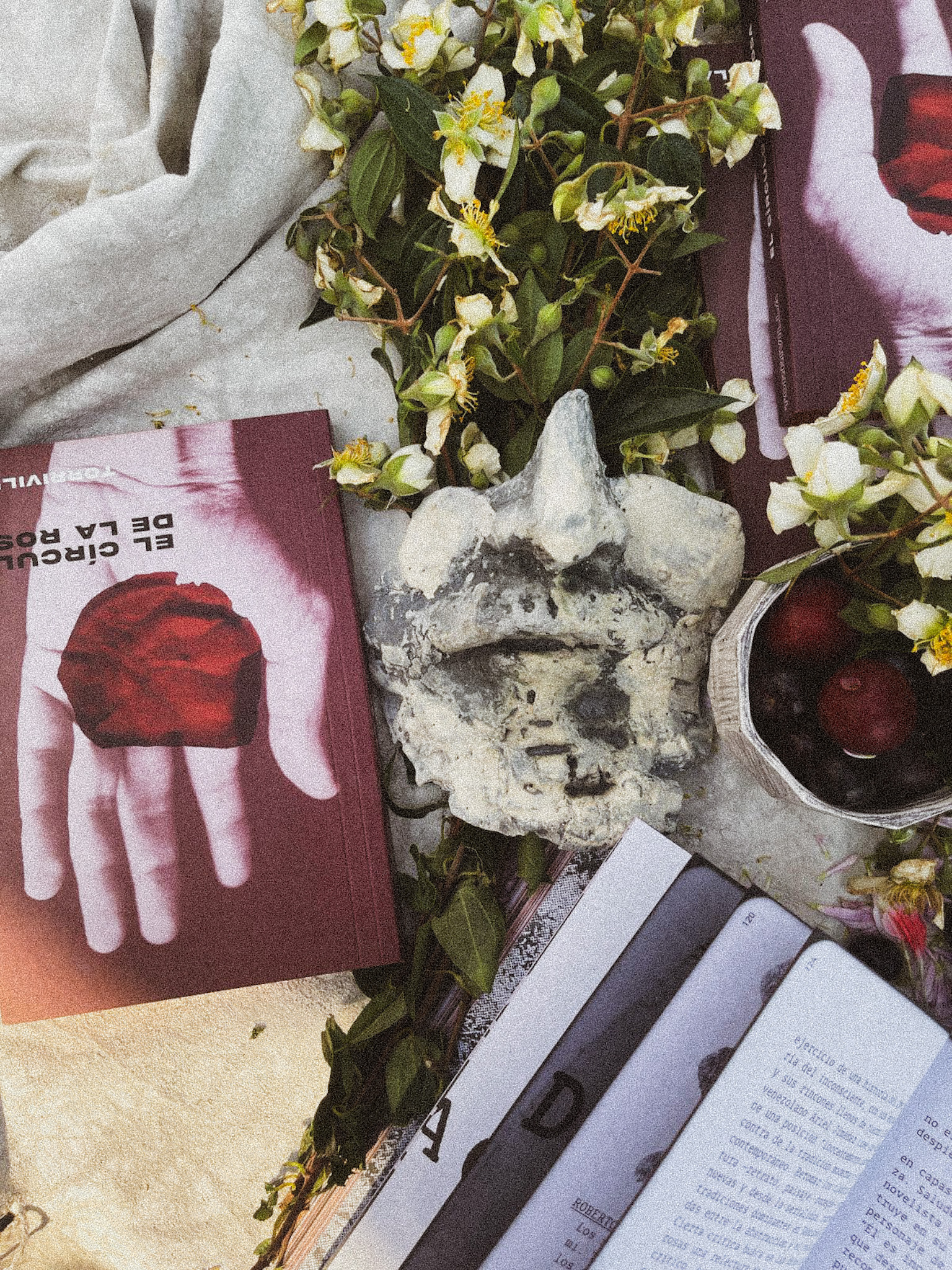 El círculo de la rosa — objeto editorial