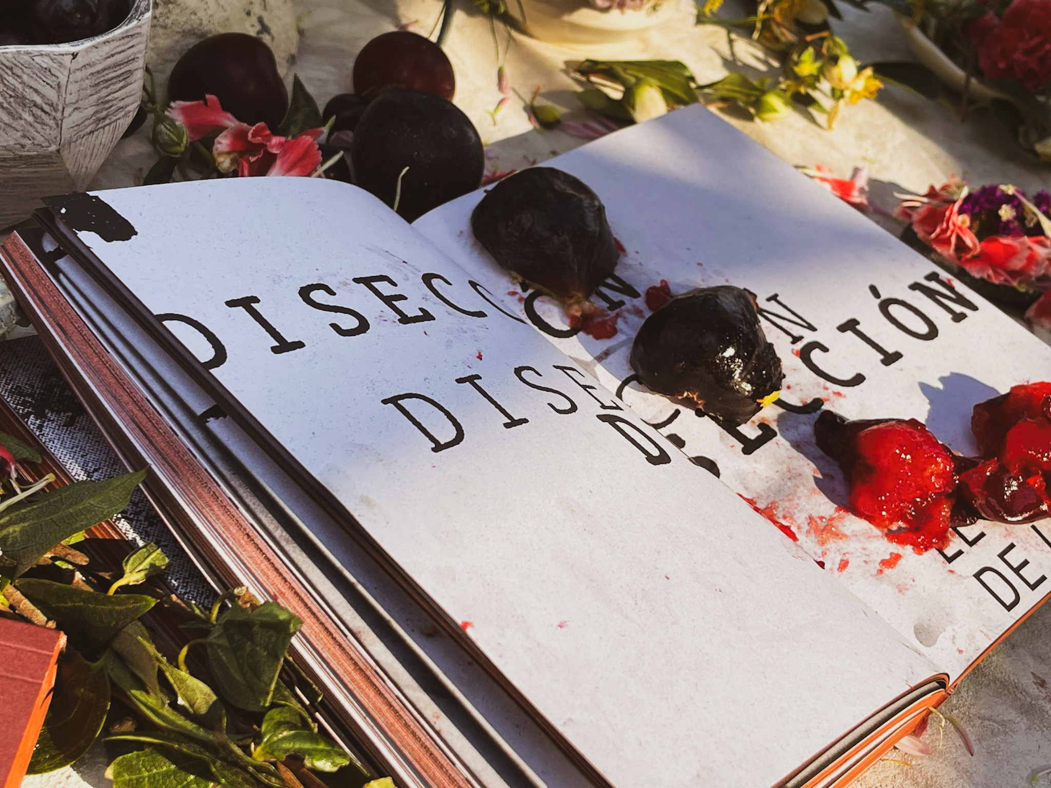 El círculo de la rosa — objeto editorial